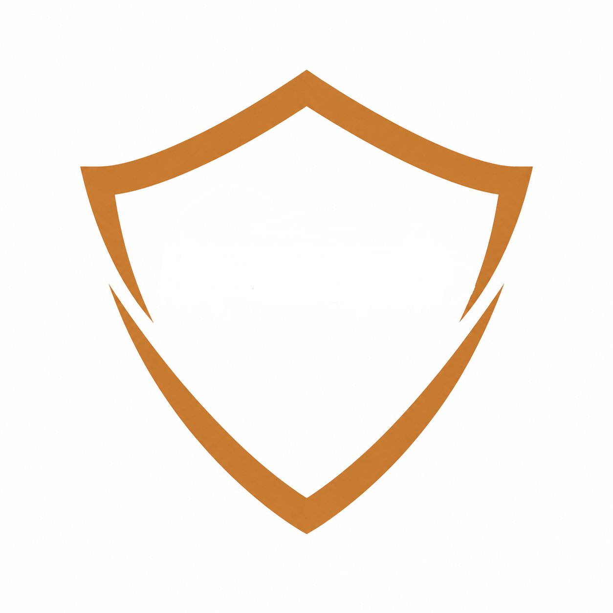 Project Shield